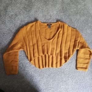 Forever 21 cropped sweater